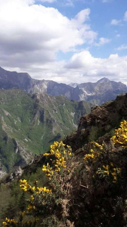 L ' Canton B & B Colonnata Zewnętrze zdjęcie